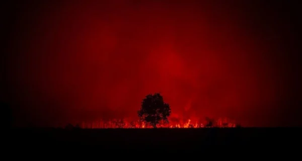 Incendios forestales en Europa