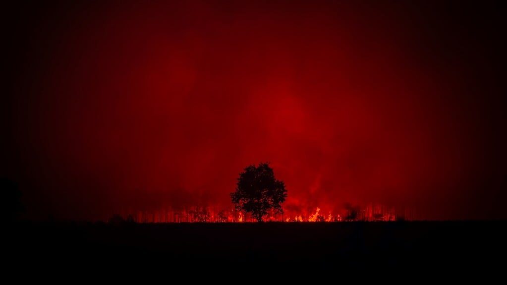 Incendios forestales en Europa