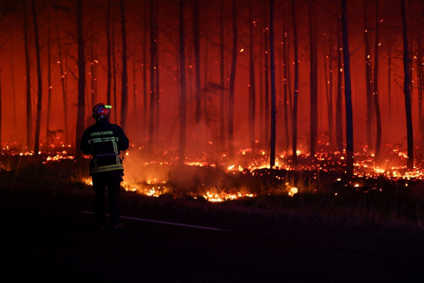 Bombero frente a un incendio forestal en un bosque con llamas y humo en el aire