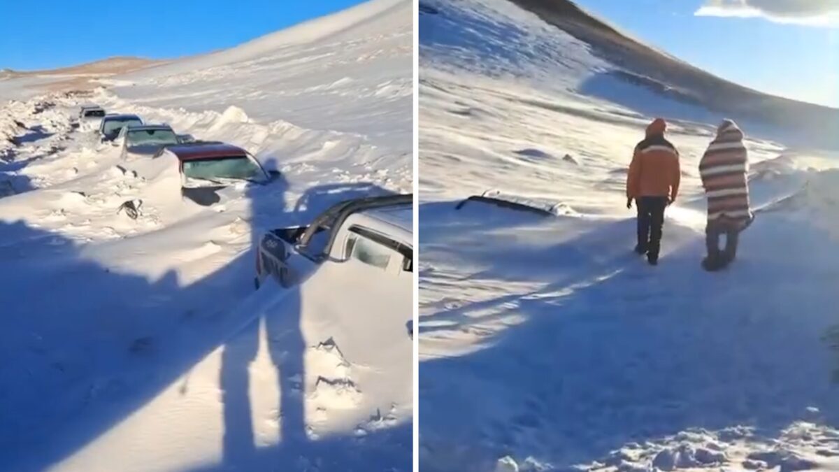 Guías turísticos caminando entre vehículos cubiertos de nieve en Catamarca
