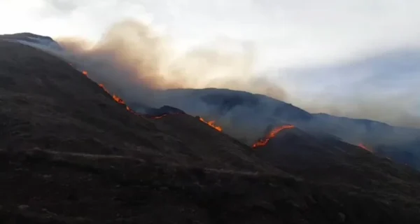 Incendio forestal en La Rioja