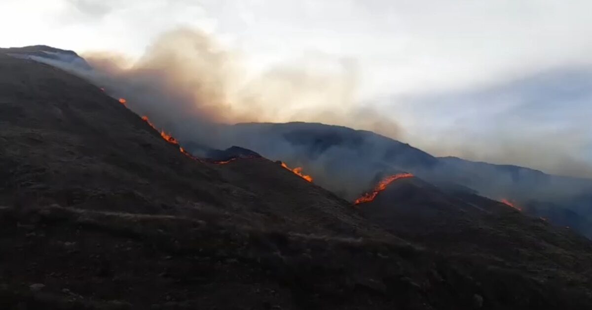 Incendio forestal en La Rioja