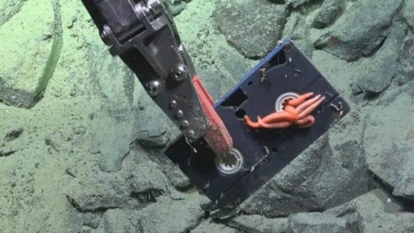 Un robot submarino recoge un objeto de plástico del fondo marino en el mar argentino