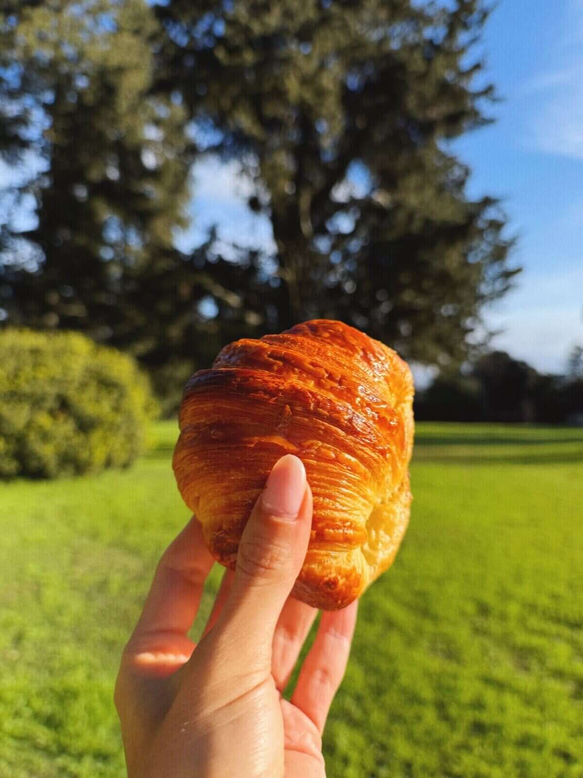 Una mano sostiene un croissant dorado en un entorno natural