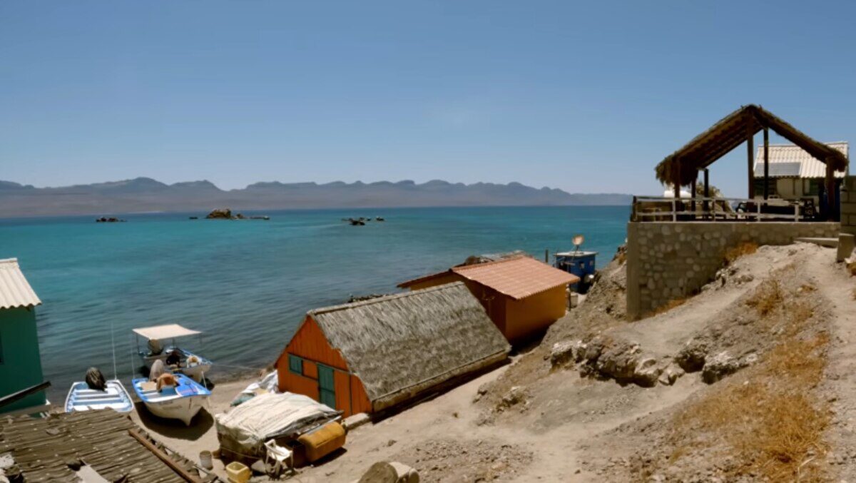Vista de las casas de la familia Cuevas en la isla El Pardito, México, junto al mar azul del Golfo de California