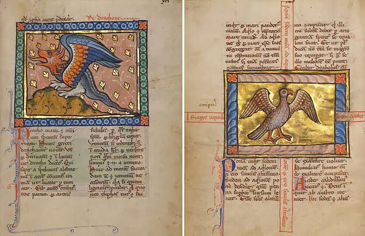 Ilustraciones medievales de criaturas aladas en un manuscrito antiguo