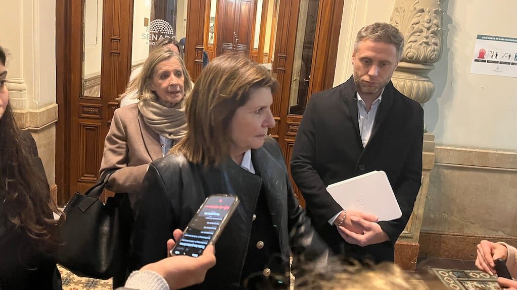 Patricia Bullrich en el Senado