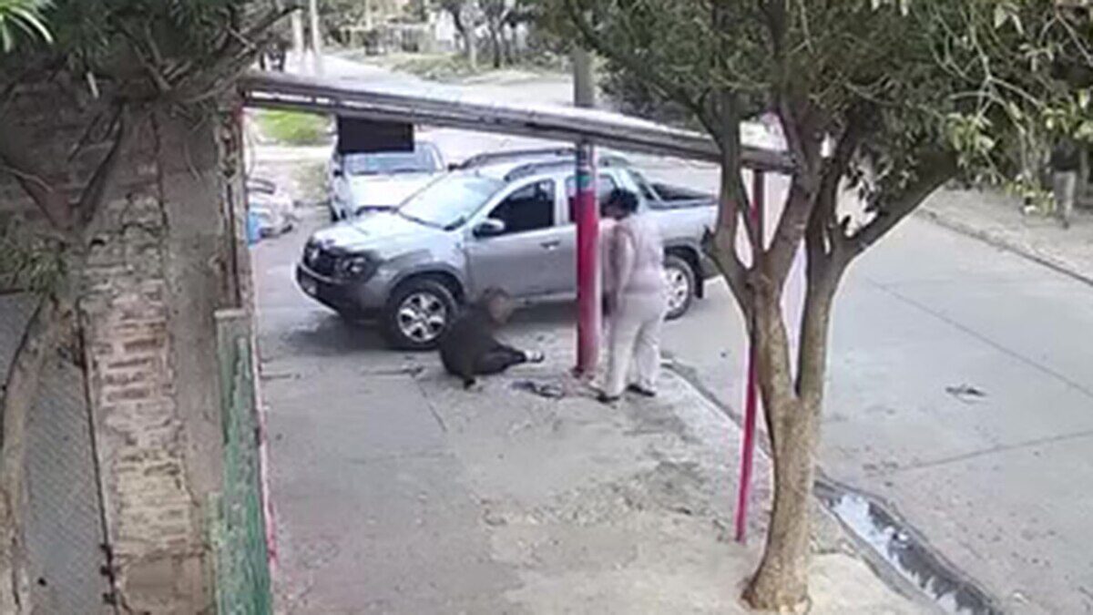 Una persona en la calle junto a un vehículo y un perro en el suelo