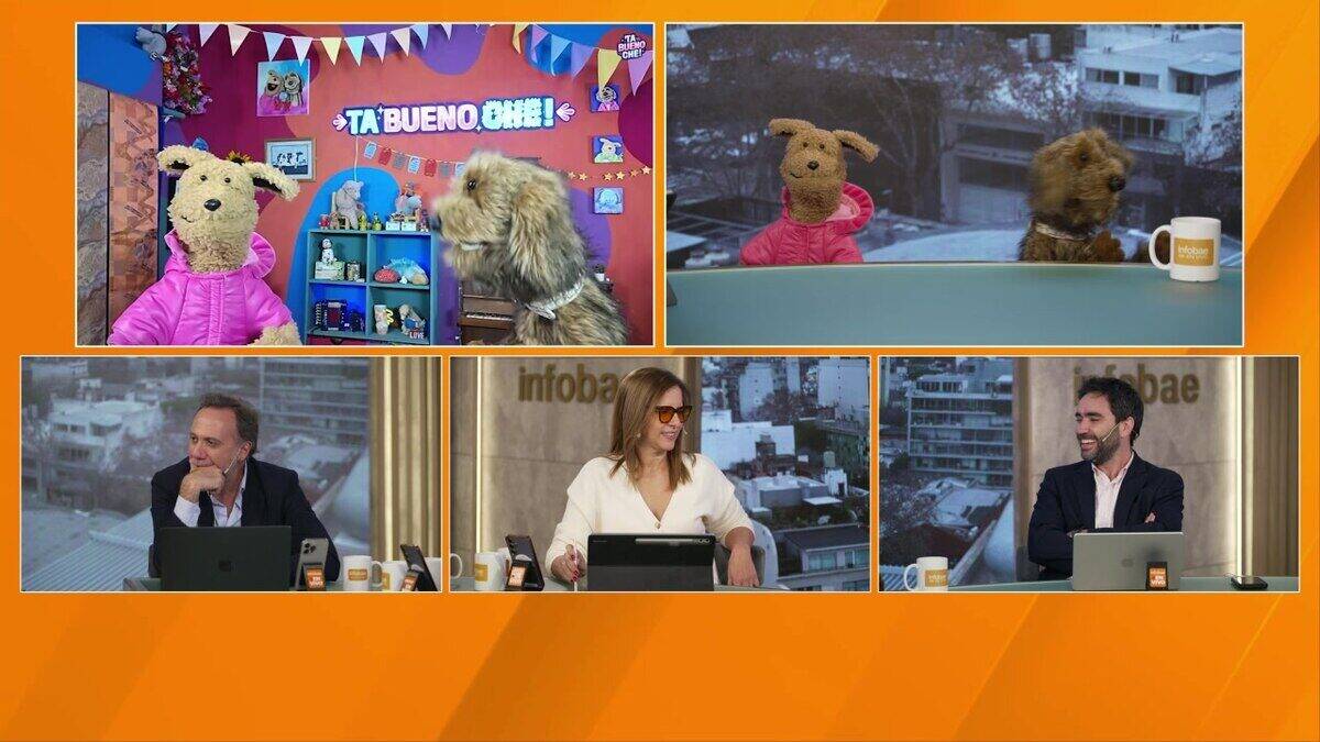 Pache y Plumis, los perros que revolucionan el streaming argentino, en un programa de televisión