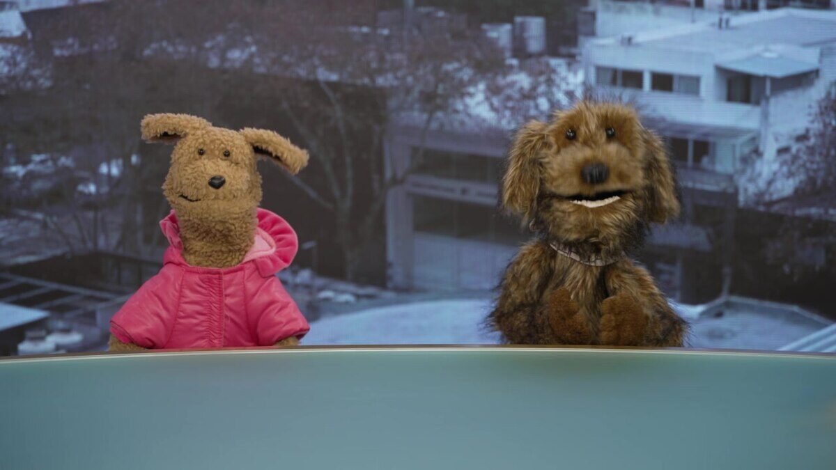Pache y Plumis, dos perros de peluche, sentados en un set de televisión