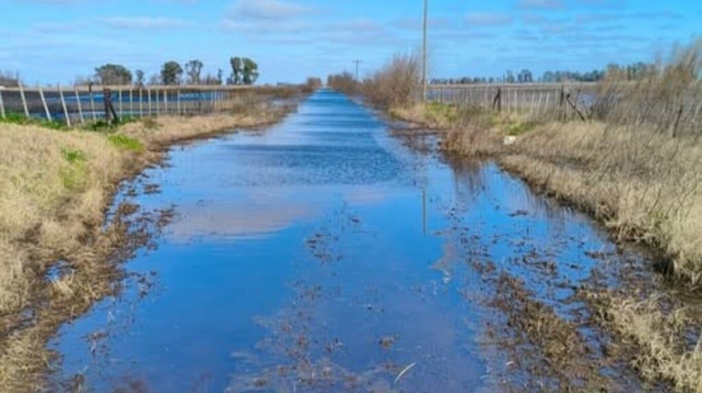 Caminos rurales en Nueve de Julio