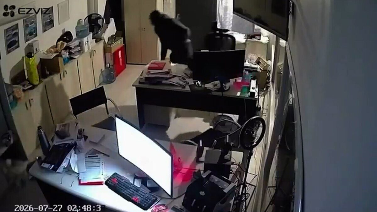 Delincuente en acción durante un robo en un comercio de Bahía Blanca