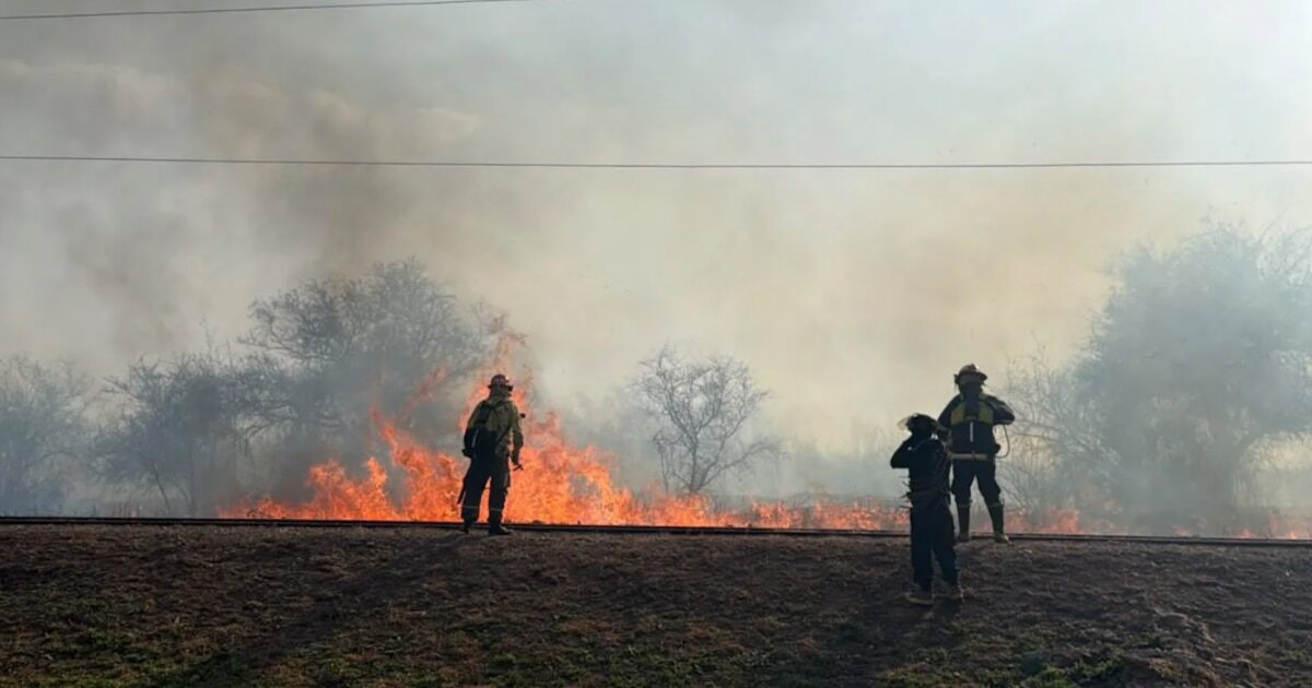 Incendios en Salta y medidas de prevención