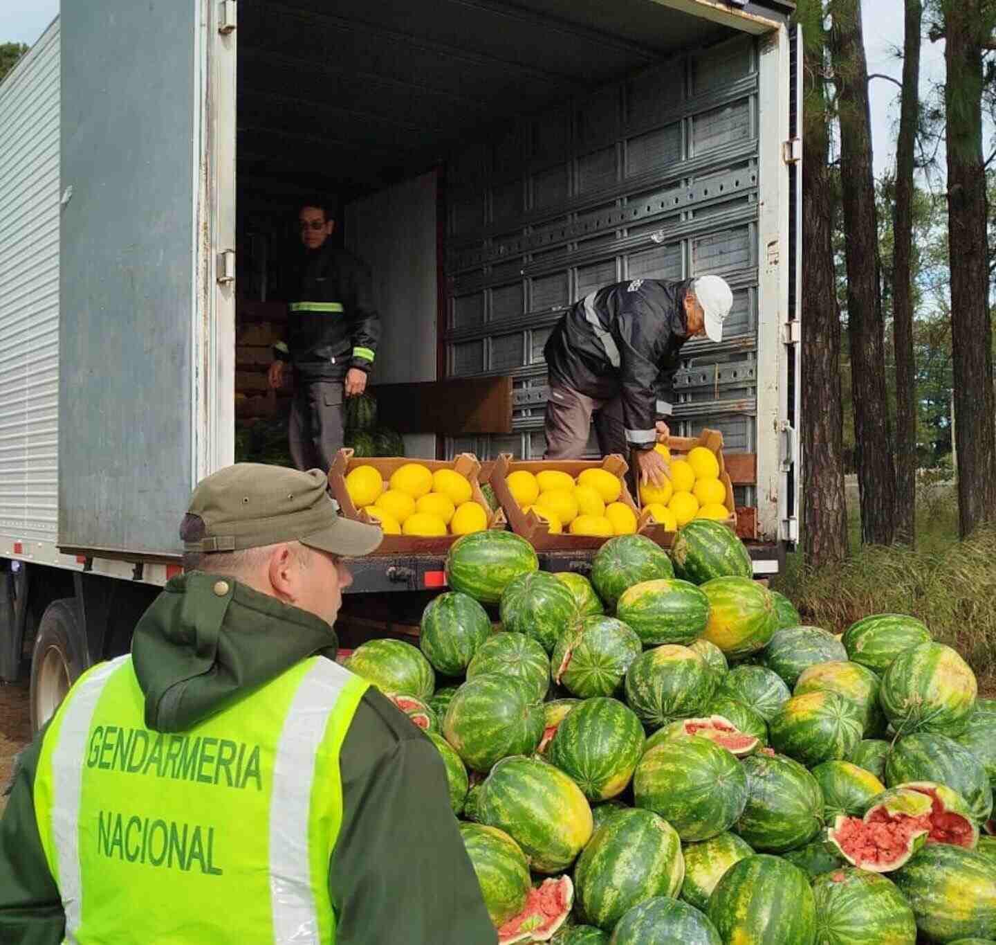 Operativos de SENASA en Corrientes con sandías y melones confiscados
