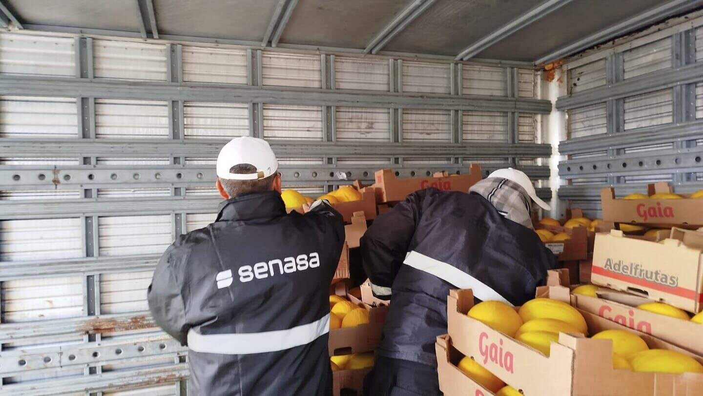 Inspectores de SENASA revisan cajas de frutas en un camión en Corrientes