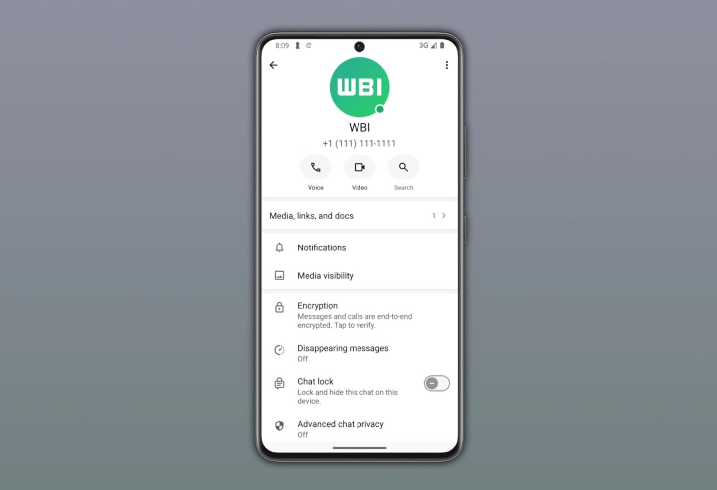 Pantalla de configuración de WhatsApp mostrando el nuevo indicador verde de estado de conexión